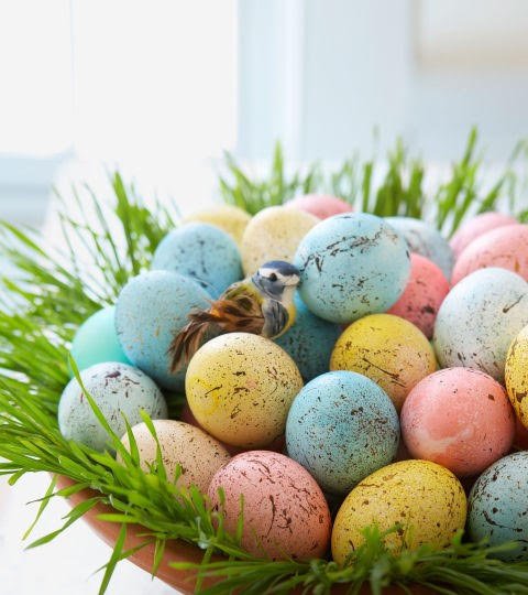 Read more about the article Sveikiname visus sodininkus su Šv. Velykomis. Tegul su gražėjančia gamta atgimsta Jūsų meilė gamtai ir žmogui, pavasario rūpesčius atperka Jūsų puoselėjamų žydinčių sodų atgimimas.